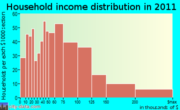 Little Falls household income distribution