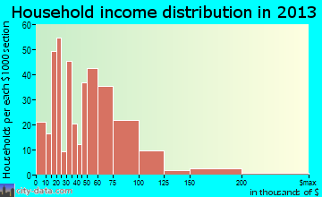 Magnolia household income distribution