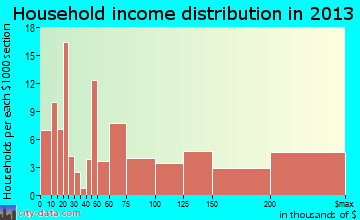 Pennington household income distribution