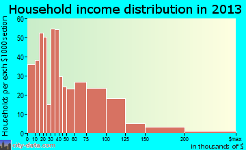Pine Hill household income distribution