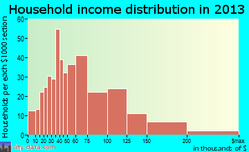 Pitman household income distribution