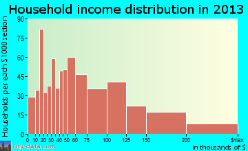 Point Pleasant household income distribution