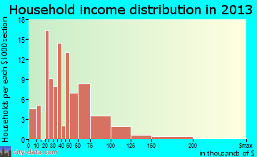 Victory Gardens household income distribution