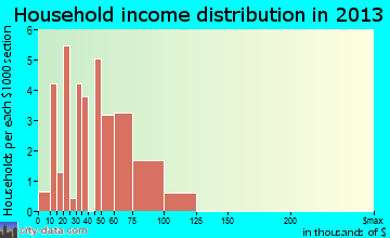 Eagle Nest household income distribution