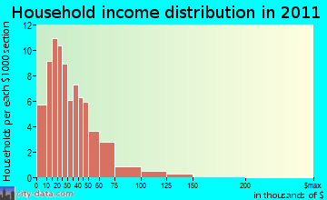 Logan-Nara Visa household income distribution