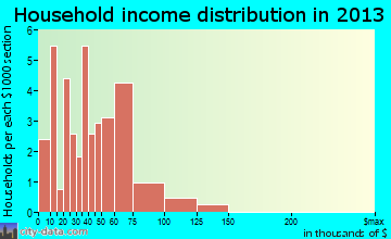 Bergman household income distribution