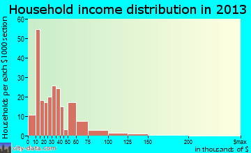 Ruidoso Downs household income distribution