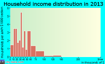 Bigelow household income distribution