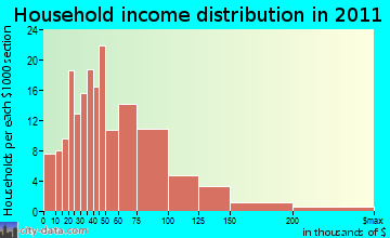 Neversink household income distribution