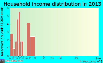 Bluff City household income distribution