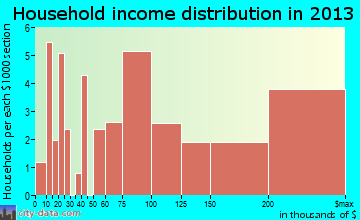 Bellerose household income distribution