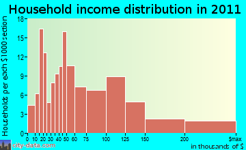 Big Flats Airport household income distribution