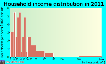 Burke household income distribution