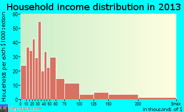 Ellenville household income distribution