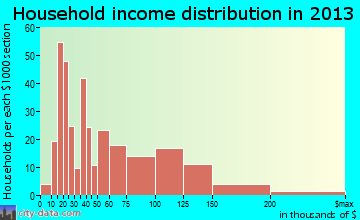 Island Park household income distribution