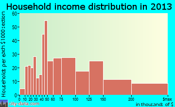 New Hyde Park household income distribution