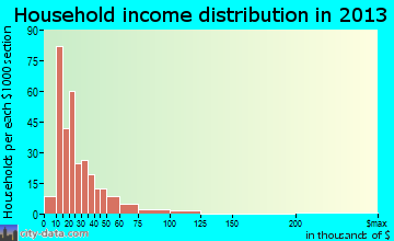 New Square, NY household income distribution