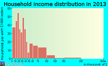New York Mills household income distribution