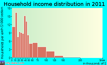 Nunda household income distribution