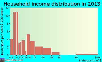 Palatine Bridge household income distribution