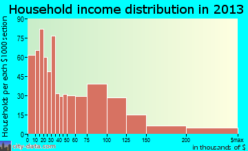 Patchogue household income distribution