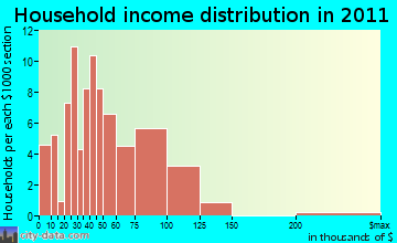 Pine Plains household income distribution