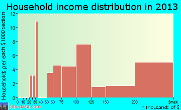 Point Lookout household income distribution