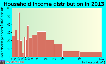 Port Jefferson Station, NY household income
