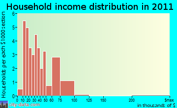 Remsen household income distribution