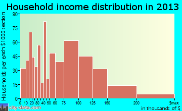 Selden household income distribution