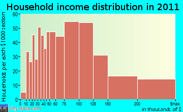 Stony Point household income distribution