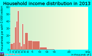 Elkins household income distribution