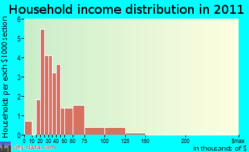 Turin household income distribution