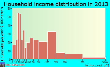 Washingtonville household income distribution