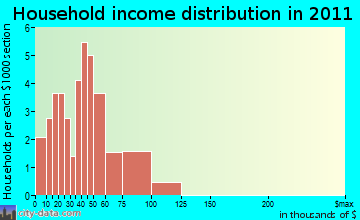 Pinckney household income distribution