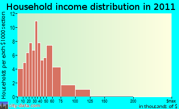 Portage, NY household income