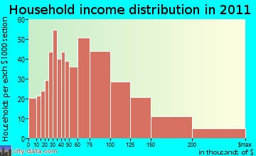Brunswick household income distribution