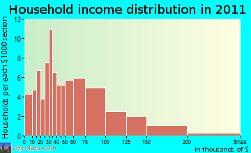 Petersburgh household income distribution