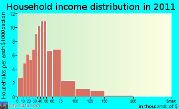 Junius household income distribution