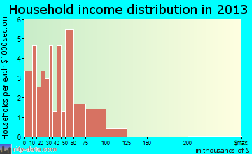Ruth household income distribution