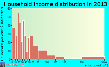Rutherfordton household income distribution