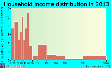 Mott household income distribution