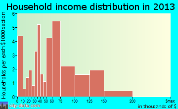 Ray household income distribution