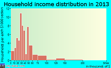 Bergholz household income distribution