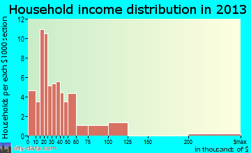 Flushing household income distribution
