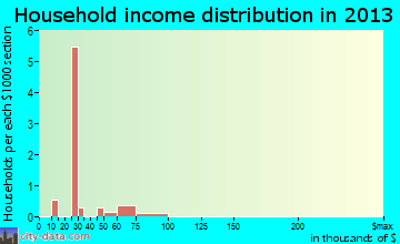 Holiday City household income distribution