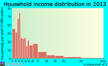 Guntersville household income distribution