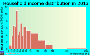 Magnolia household income distribution
