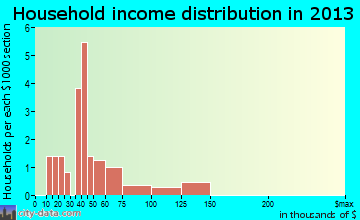 New Riegel household income distribution
