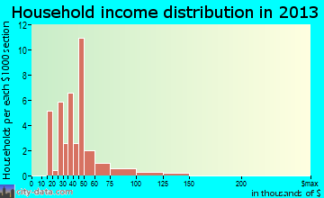 Ney household income distribution
